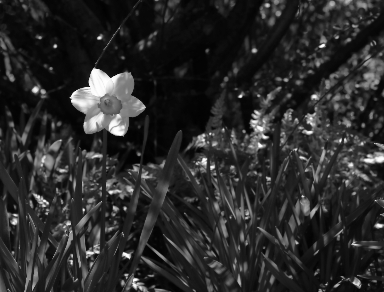 2018 04 22 HTP 75230ebw
